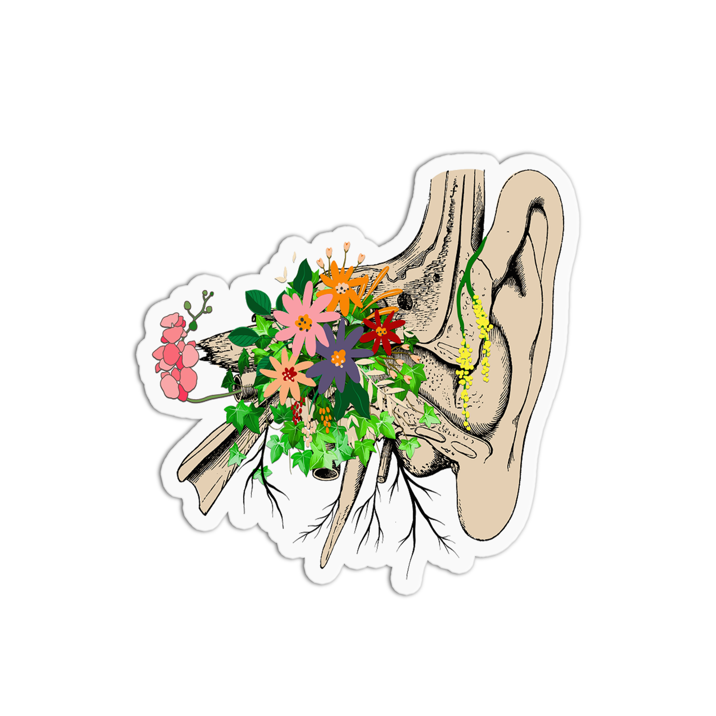 Ears with Flowers Anatomy Sticker