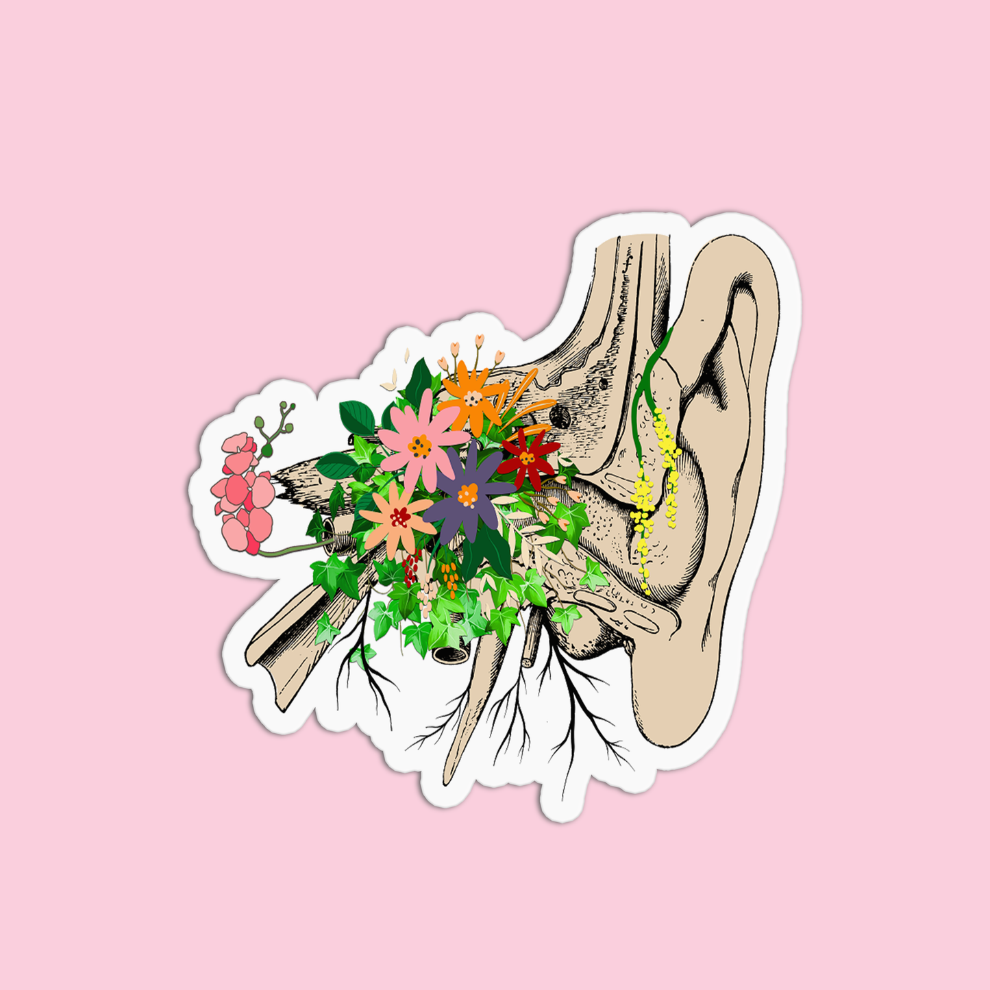 Ears with Flowers Anatomy Sticker