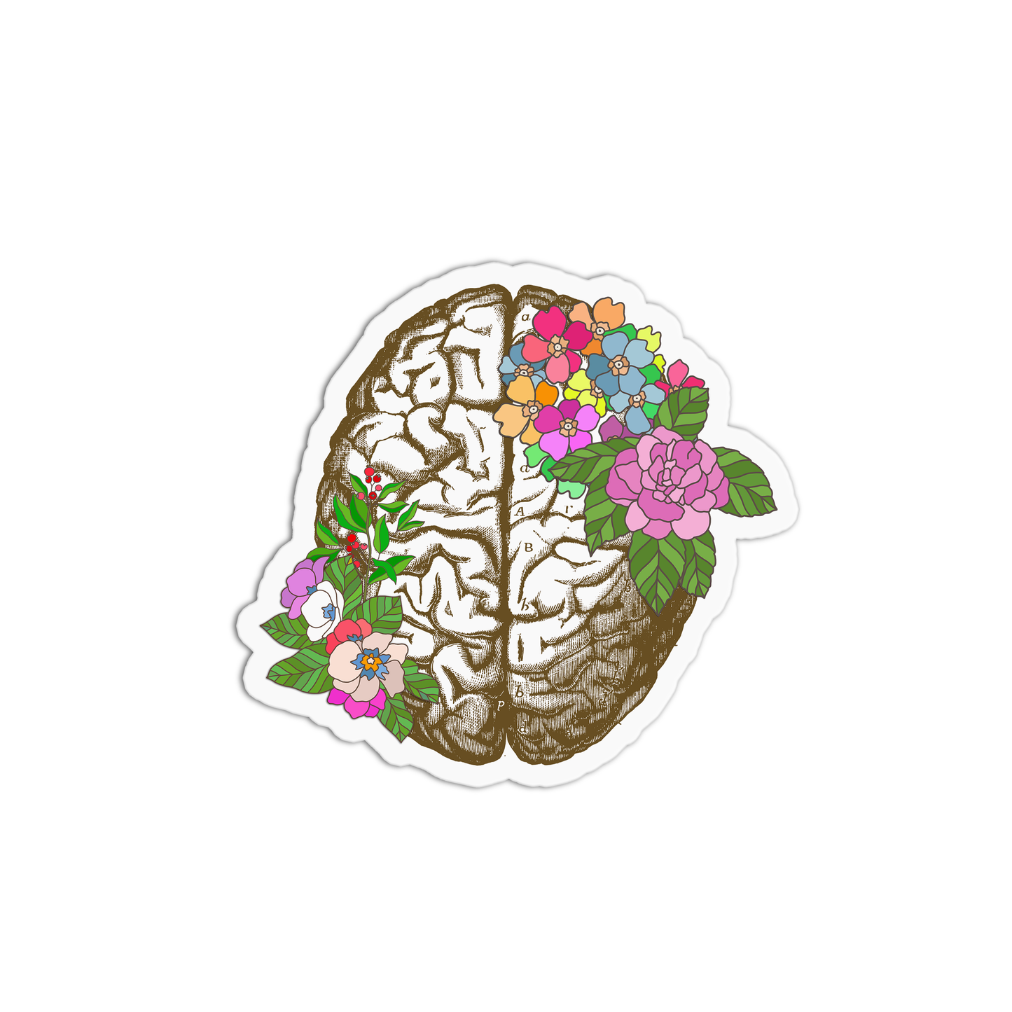 Brain with Flowers Anatomy Sticker