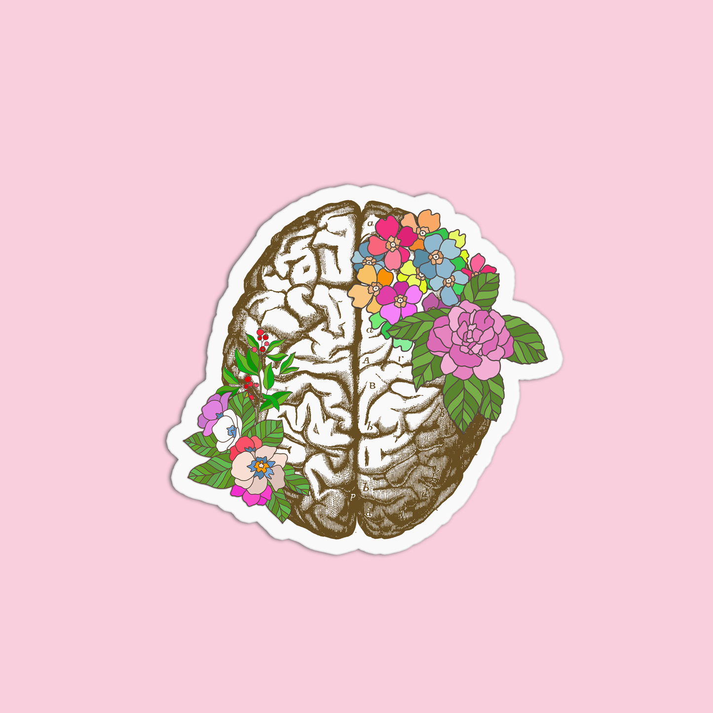 Brain with Flowers Anatomy Sticker