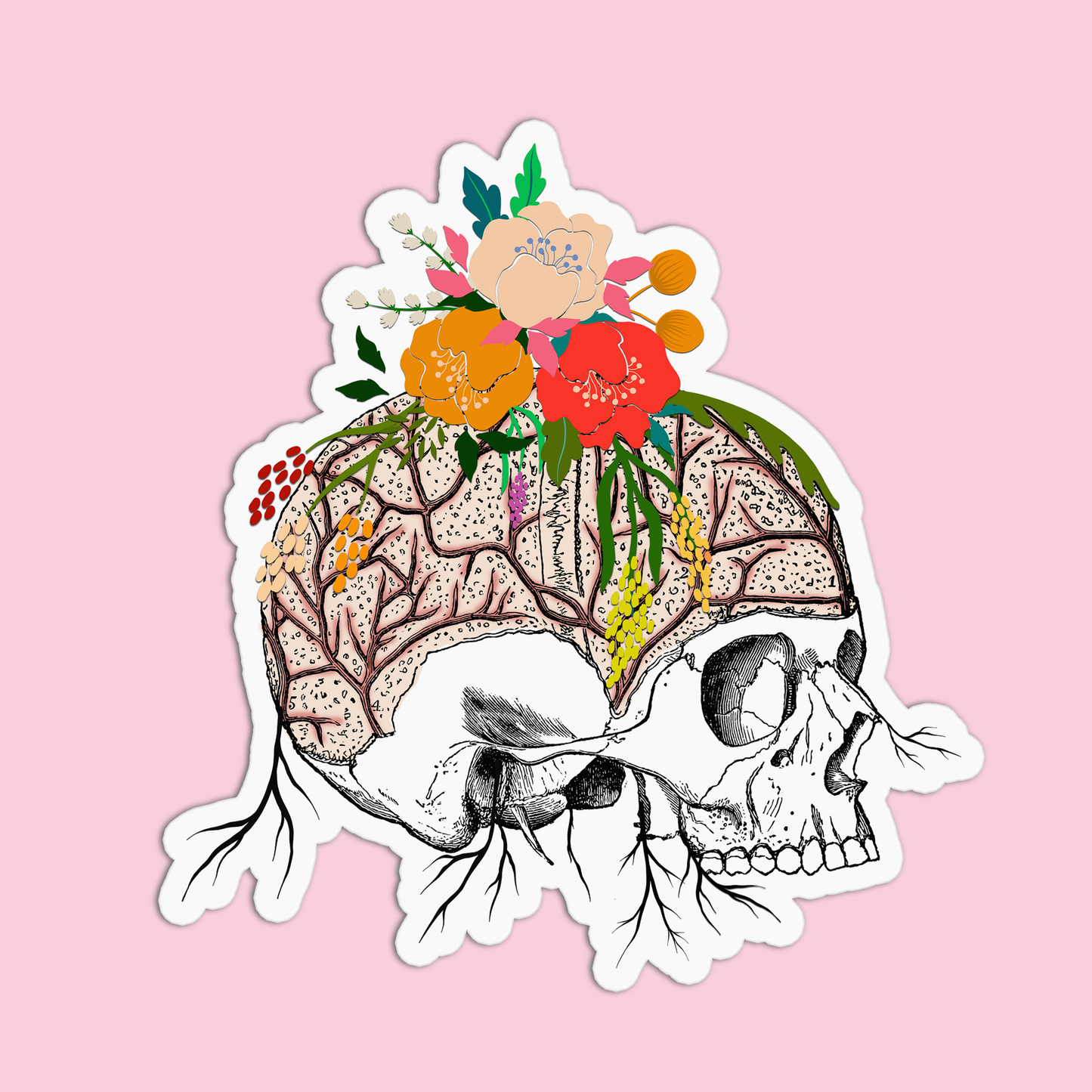 Skull with Flowers Anatomy Sticker
