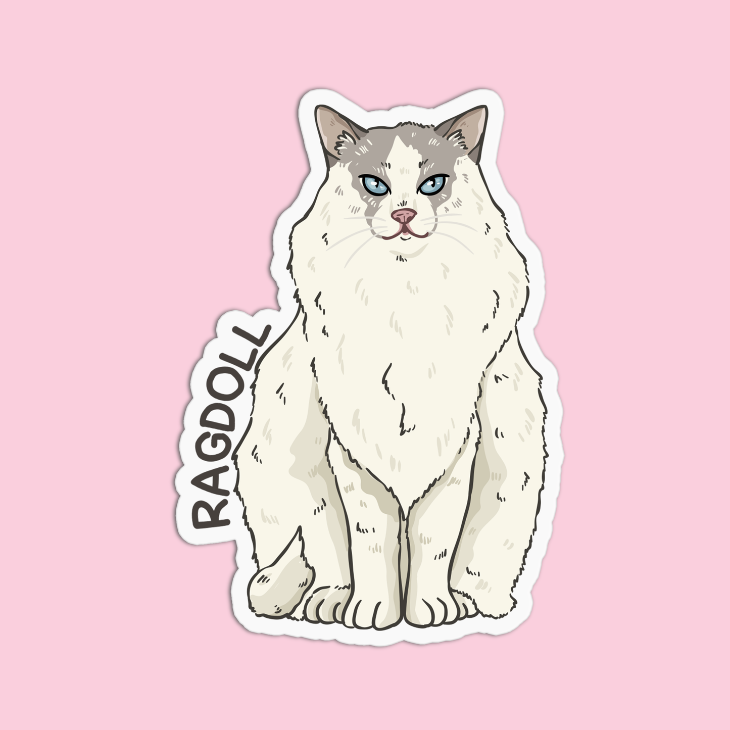 Ragdoll Cat Sticker