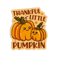 Thankful little pumpkin Thanksgiving Sticker