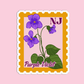 New Jersey Purple Violet State Flower Stickers