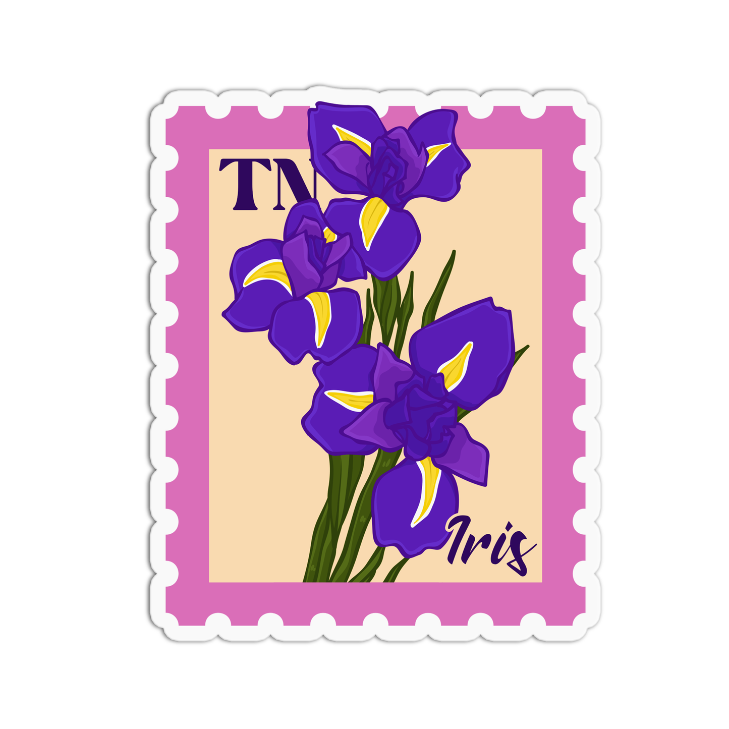 Tennessee Iris State Flower Stickers