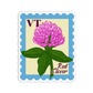 Vermont Red Clover State Flower Stickers