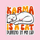 Karma is a cat Taylor Swift Sticker