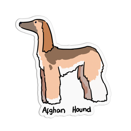Afghan Hound Dogs Sticker