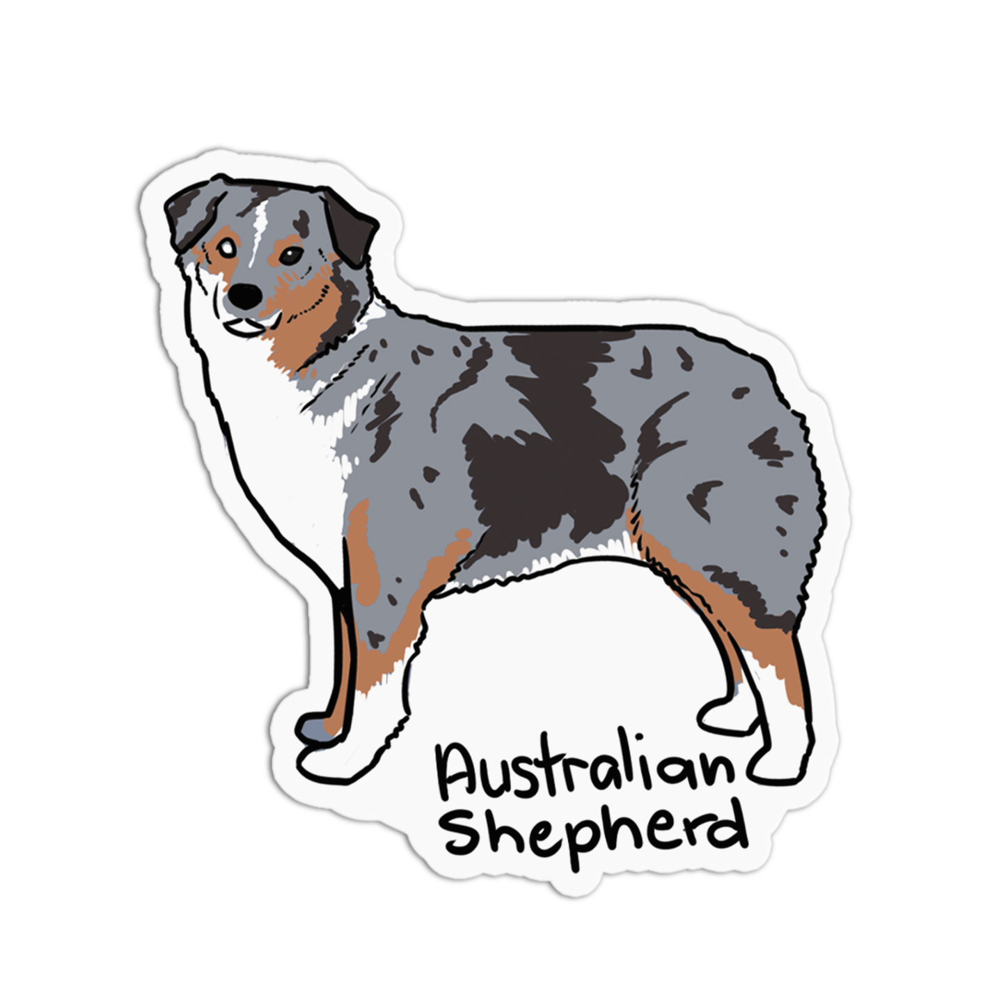 Australian Shephred Dogs Sticker