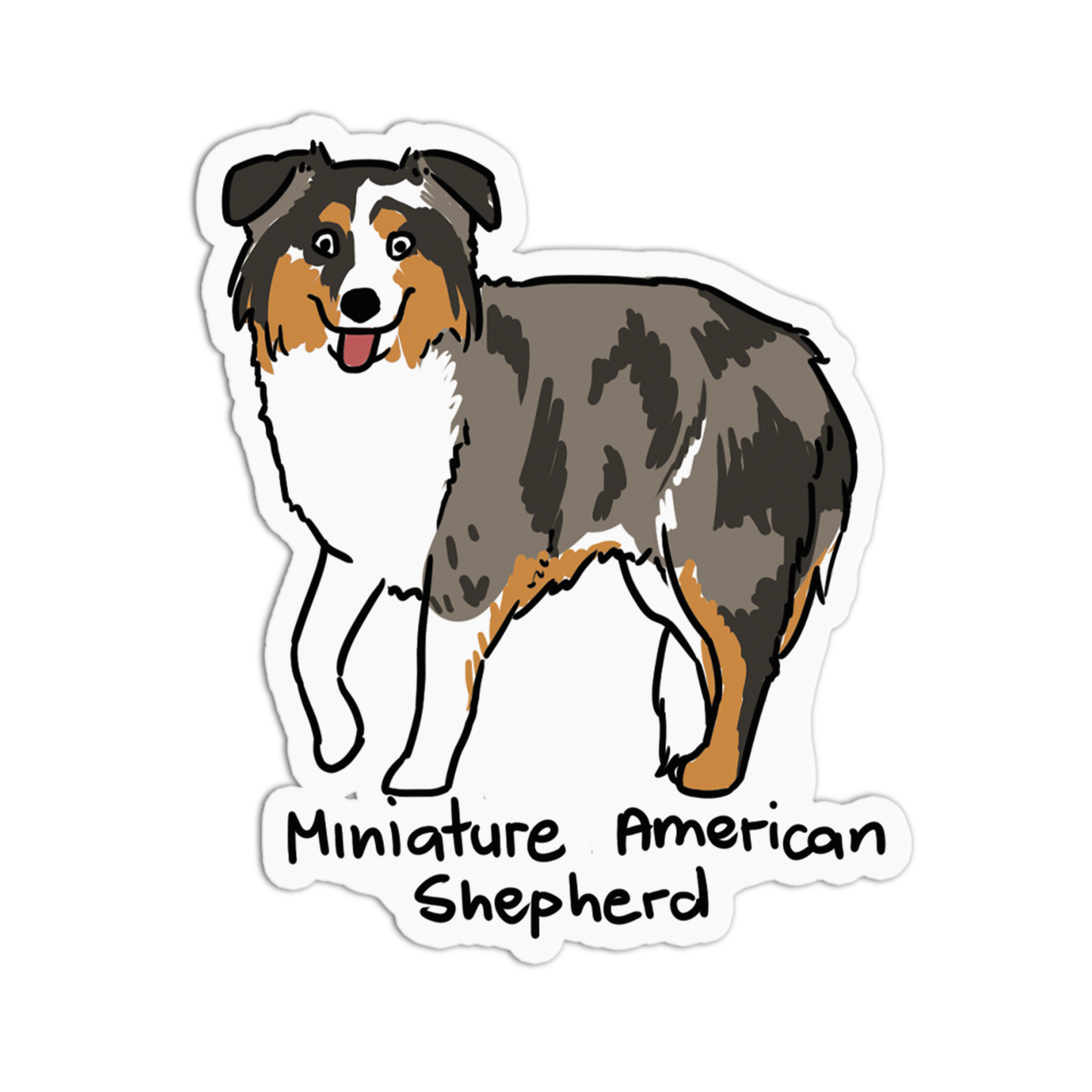Miniature American Shepherd Dogs Sticker