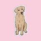 Labrador Retriever Dog Sticker