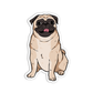 Pug Dog Sticker