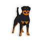 Rottweiler Dog Sticker