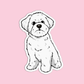 Maltese Dog Sticker