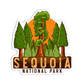 Sequoia National Park California Sticker