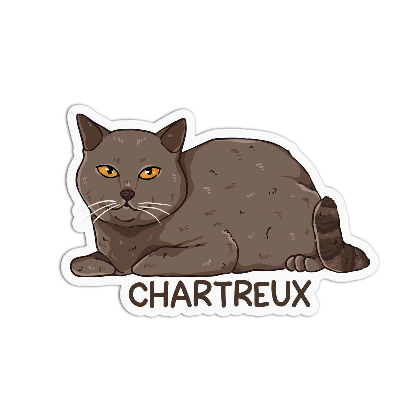 Chartreux Cat Sticker