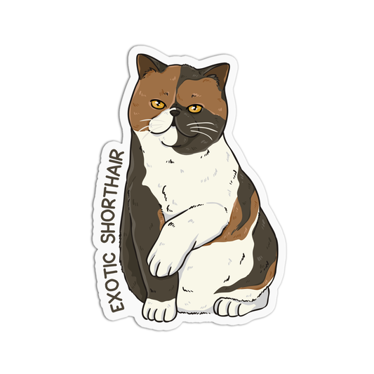 Exotic Shorthair Cat Sticker