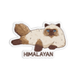 Himalayan Cat Sticker