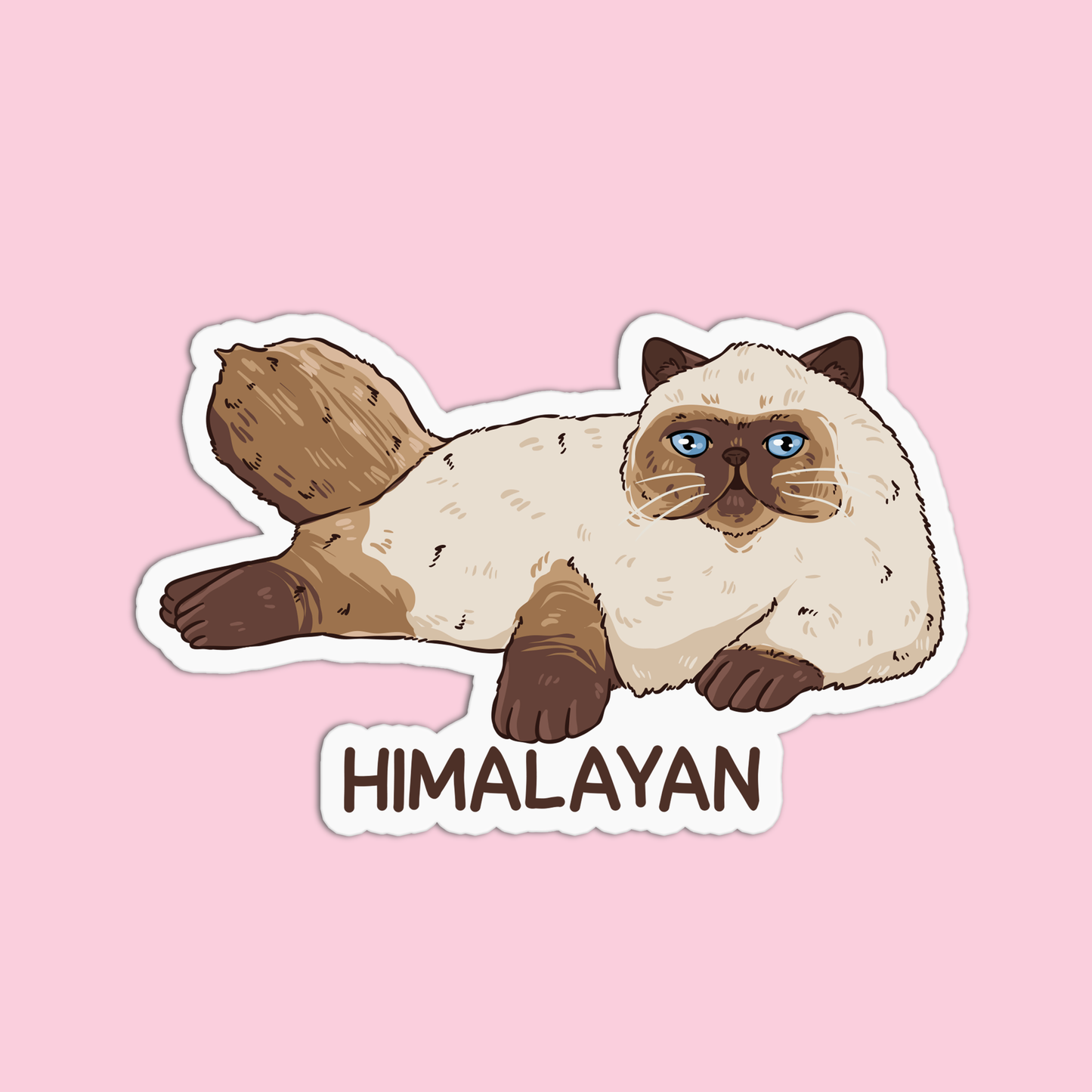 Himalayan Cat Sticker