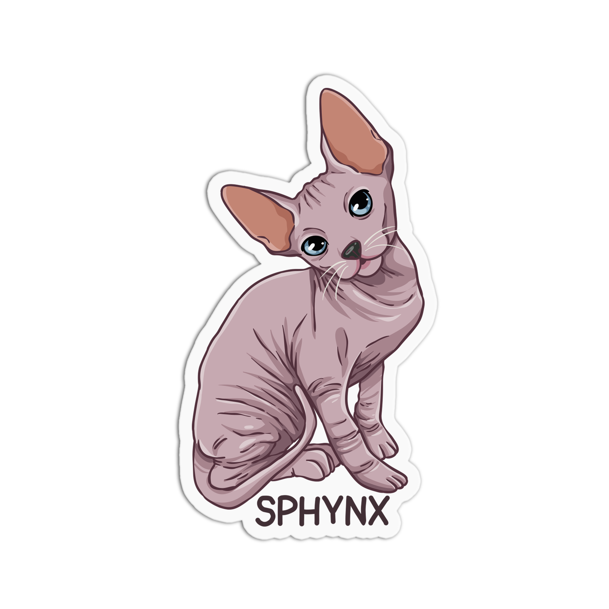 Sphynx Cat Sticker