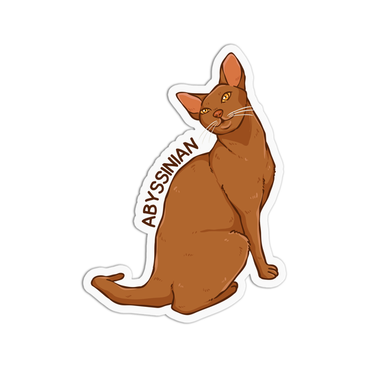 Abyssinian Cat Sticker