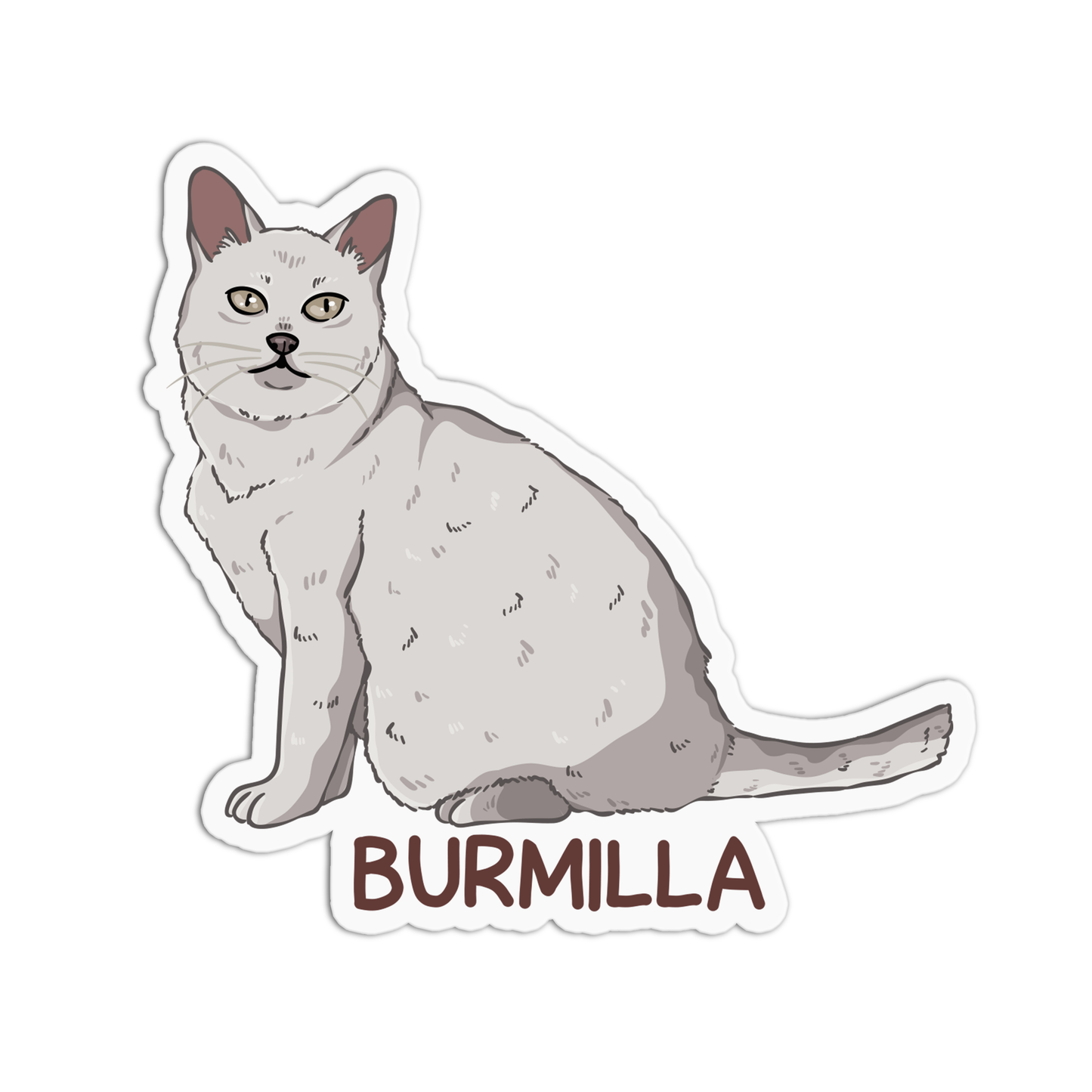 Burmilla Cat Sticker