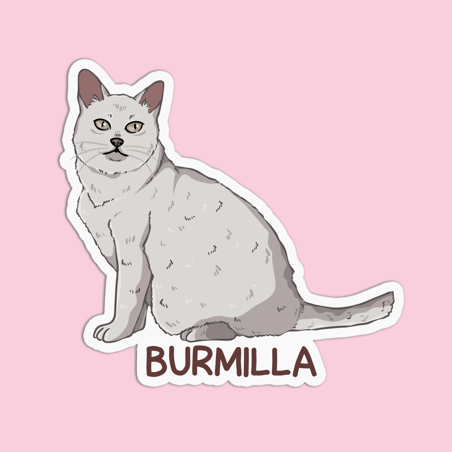 Burmilla Cat Sticker