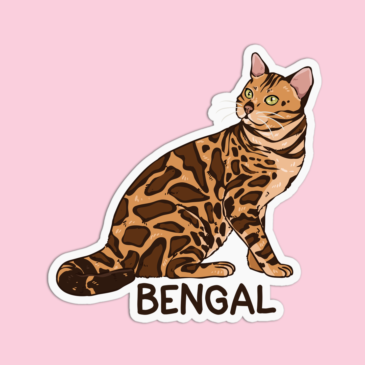 Bengal Cat Sticker