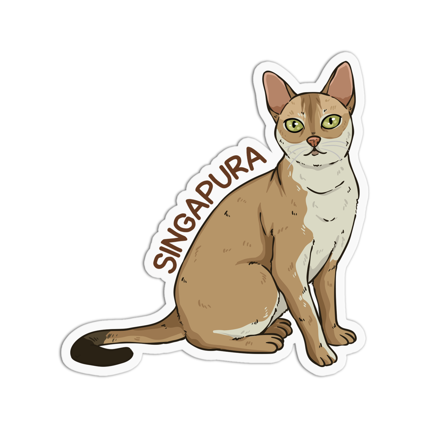 Singapura Cat Sticker