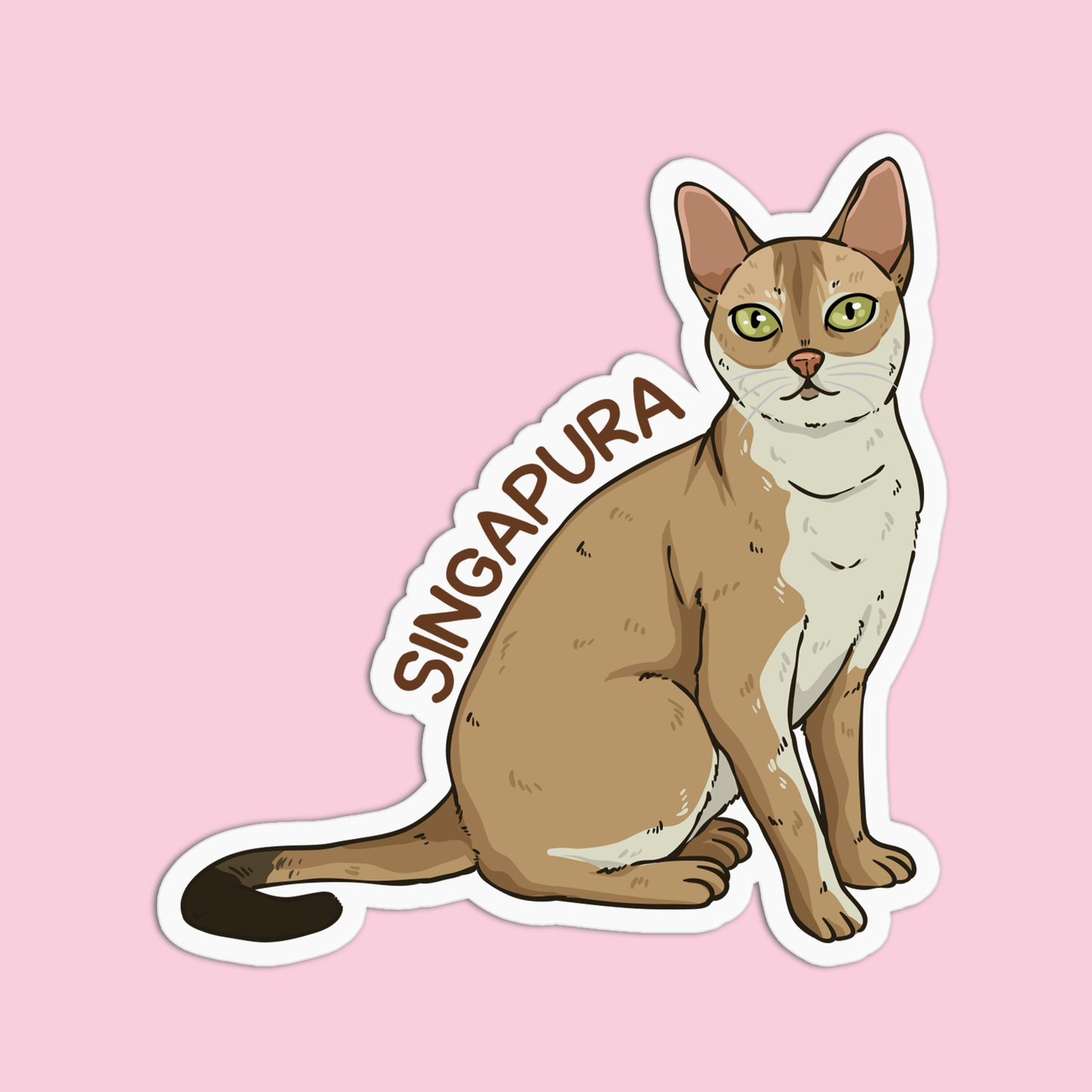 Singapura Cat Sticker