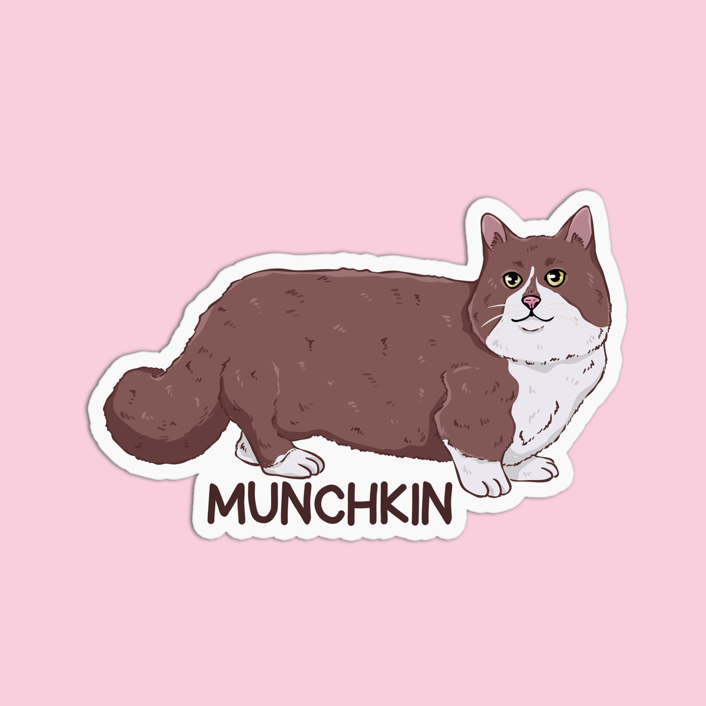 Munchkin Cat Sticker