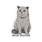 British Shorthair Cat Sticker