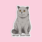 British Shorthair Cat Sticker