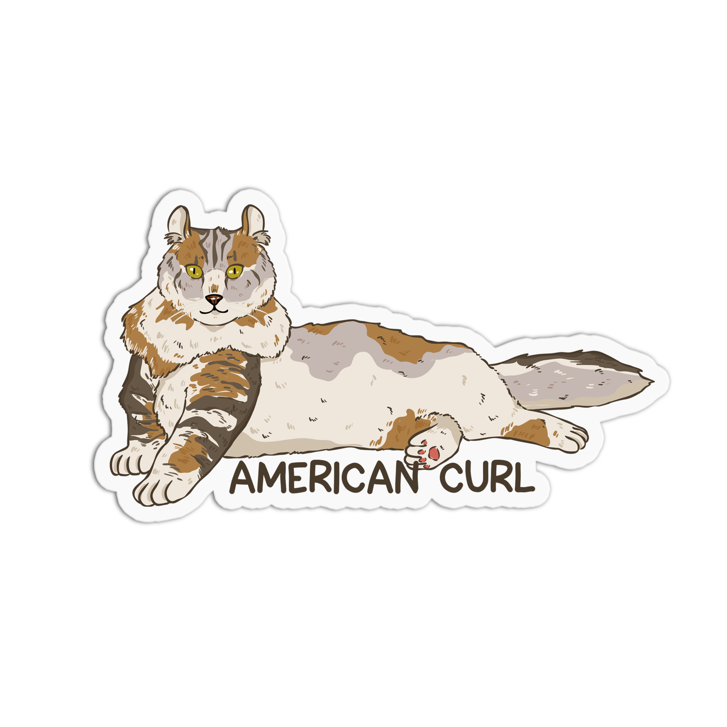 American Curl Cat Sticker