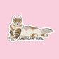 American Curl Cat Sticker