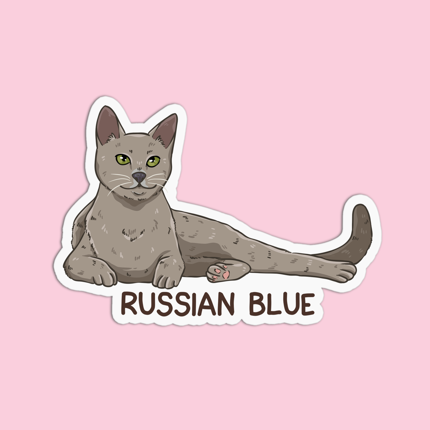 Russian Blue Cat Sticker