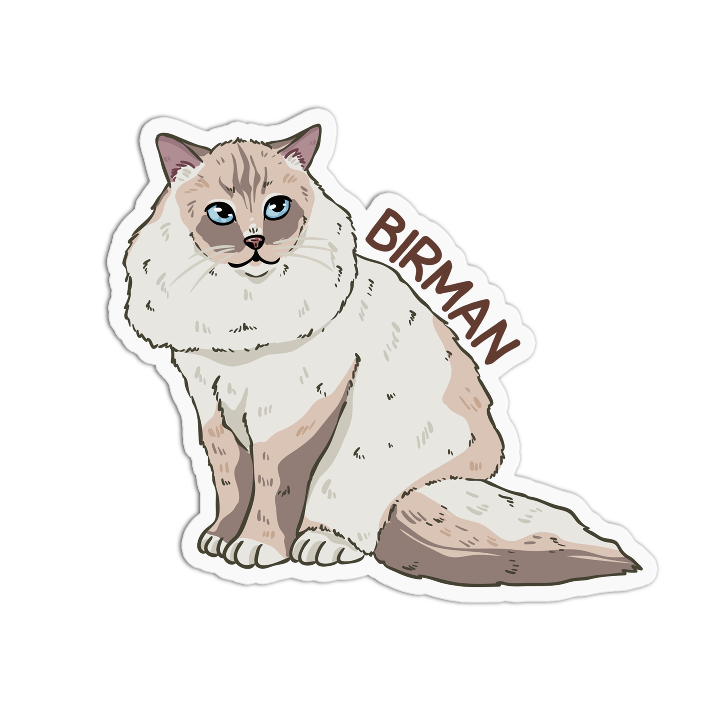 Birman Cat Sticker