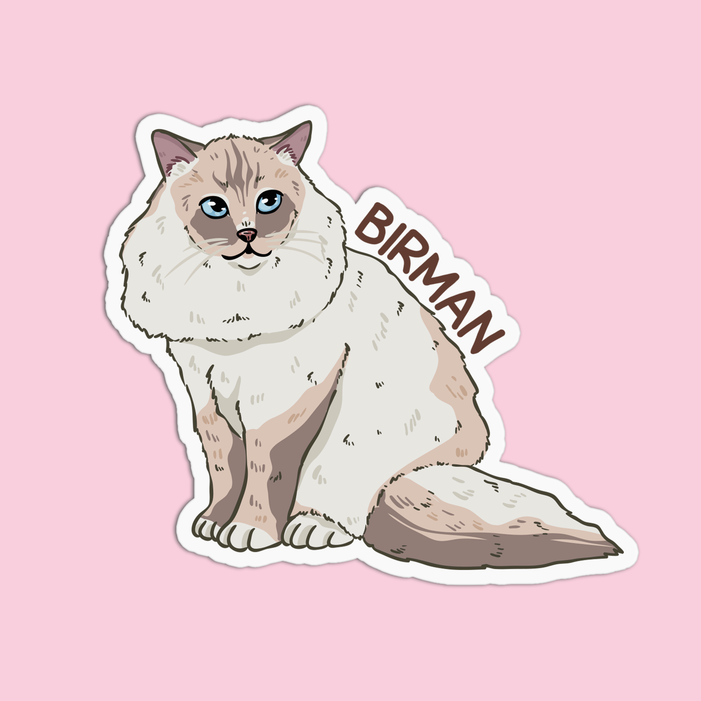 Birman Cat Sticker