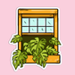 Swiss Cheese Plant Sticker